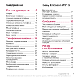 Sonyericsson W910i red Руководство пользователя