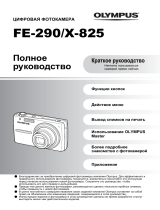 Olympus FE290 Black Руководство пользователя