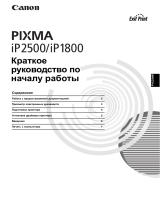 Canon PIXMA iP2500 Руководство пользователя