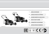 Efco LUX 55 TBI Инструкция по применению