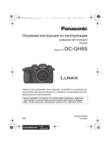 Panasonic Lumix GH5S (DC-GH5SEE-K) Руководство пользователя