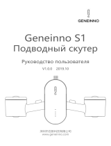 GeneinnoS1 (T2T-WH)