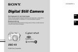 Sony DSC-V3 Руководство пользователя