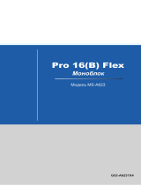 MSI AP16 Flex-034RU Руководство пользователя
