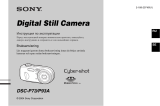 Sony DSC-P93S Руководство пользователя