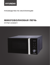 Hyundai HYM-D3001 Руководство пользователя