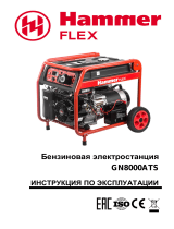 Hammer Flex GN8000ATS (106-043) Руководство пользователя