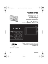 Panasonic DMC-FX01EE-S Руководство пользователя