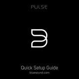 Bluesound Pulse Инструкция по применению