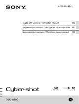 Sony DSC-W690 Руководство пользователя