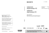 Sony HDR-CX250E Руководство пользователя
