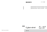 Sony DSC-RX1 Руководство пользователя