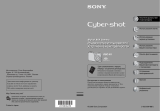 Sony DSC-N1 Руководство пользователя