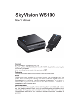 Gigabyte SKYVISION WS100 Руководство пользователя