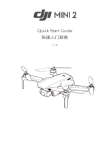 dji mini 2 Руководство пользователя