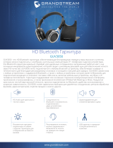 Grandstream GUV3050 Техническая спецификация