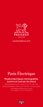 Peugeot 228024 Руководство пользователя