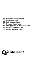 Bauknecht DBHBS 92C LT X Руководство пользователя