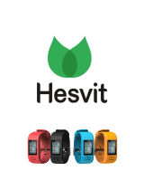 Hesvit G1 Инструкция по началу работы
