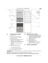 Polar ART 695 Program Chart