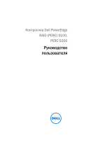 Dell PowerEdge RAID Controller S100 Руководство пользователя