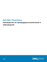 Dell PowerStore 1000T Руководство пользователя