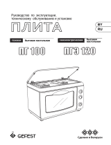 Gefest Плита газовая настольная ПГ 100 Инструкция по применению