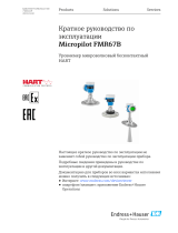 Endres+Hauser Micropilot FMR67B Short Instruction