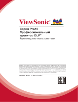 ViewSonic Pro10100-S Руководство пользователя