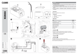 CAME RSDN003 Инструкция по установке