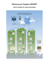 ViziT VIZIT-CLOUD Инструкция по эксплуатации