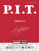 P I T PWS230-C4 Руководство пользователя