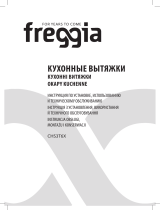 Freggia CHS3T6X Руководство пользователя