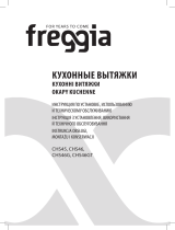 Freggia CHS45X Руководство пользователя