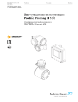 Endres+Hauser BA Proline Promag H 500 Инструкция по эксплуатации