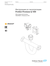 Endres+Hauser BA Proline Promass Q 500 Инструкция по эксплуатации