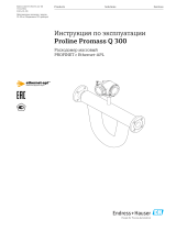 Endres+Hauser BA Proline Promass Q 300 Инструкция по эксплуатации