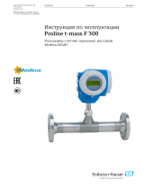 Endres+Hauser BA Proline t-mass F 300 Инструкция по эксплуатации