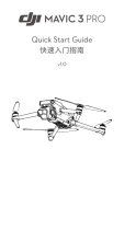 dji FLY Инструкция по началу работы