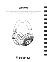 Focal Bathys Руководство пользователя